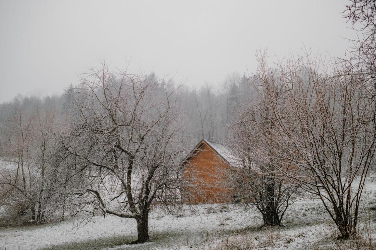 Osada Krasne - Noclegi Blisko Natury Bukowiec  Buitenkant foto