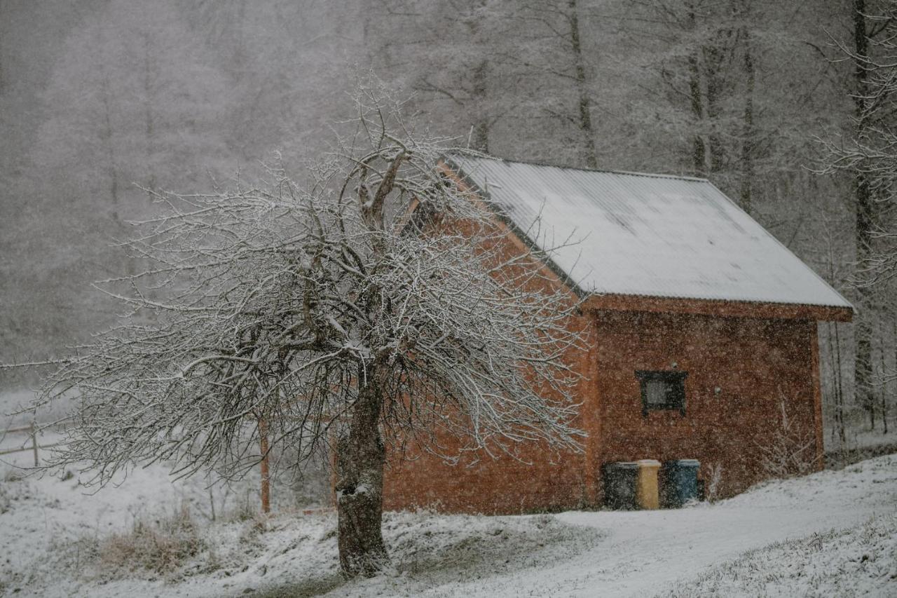 Osada Krasne - Noclegi Blisko Natury Bukowiec  Buitenkant foto