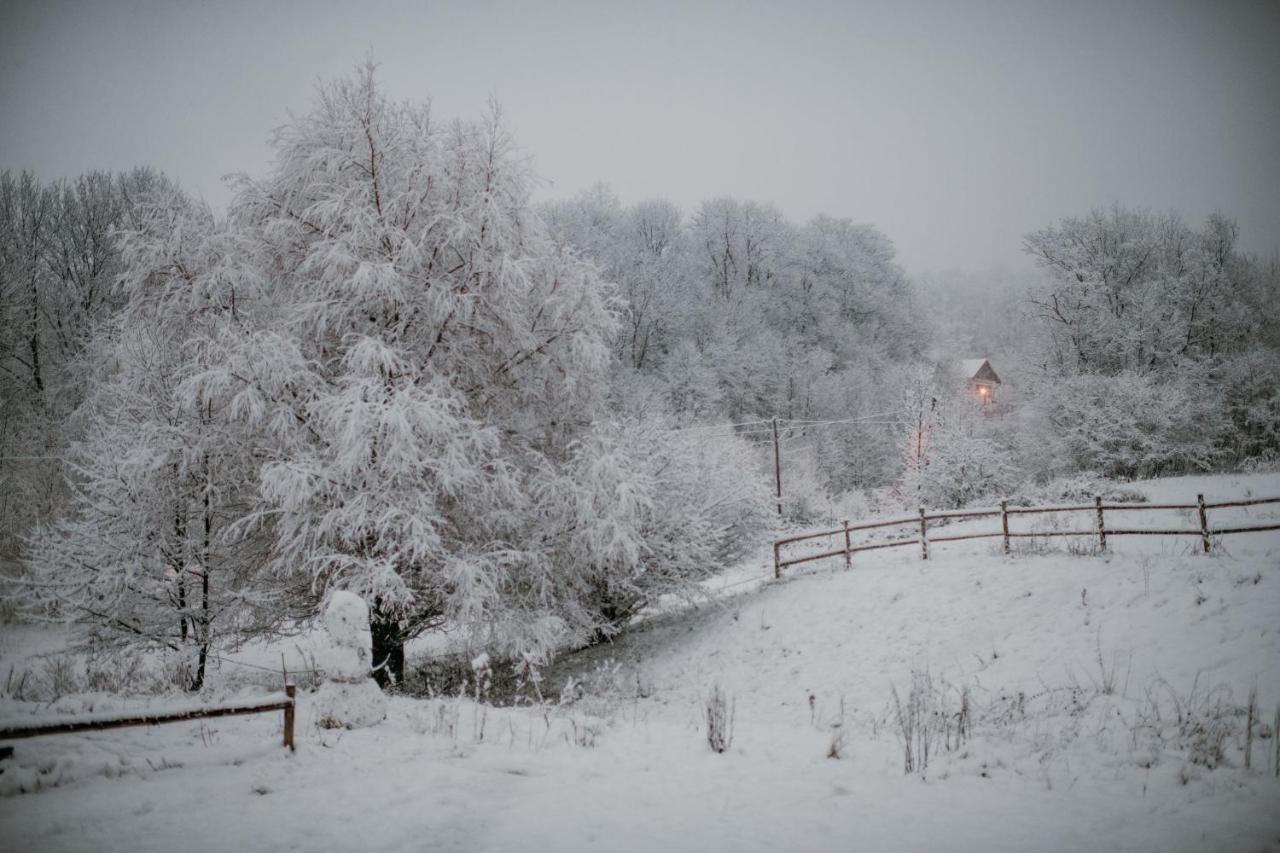 Osada Krasne - Noclegi Blisko Natury Bukowiec  Buitenkant foto