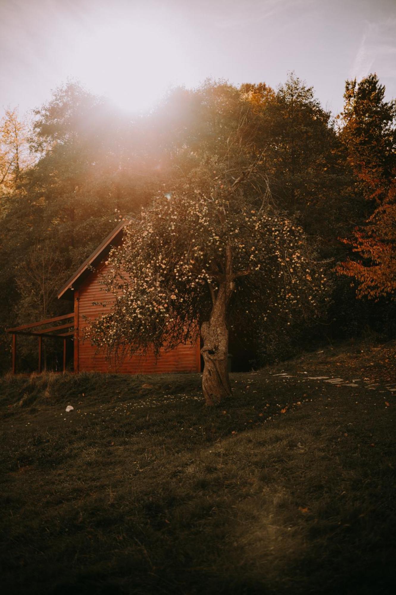 Osada Krasne - Noclegi Blisko Natury Bukowiec  Buitenkant foto